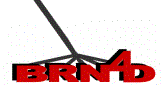 BRN4D event
